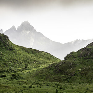 Lofoten Landscape