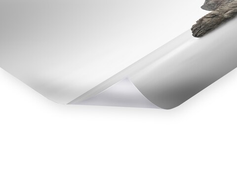 Monoliths II Asturien