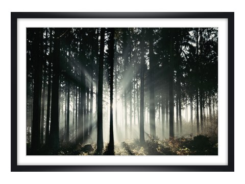 Lichtstrahlen im Teutoburger Wald
