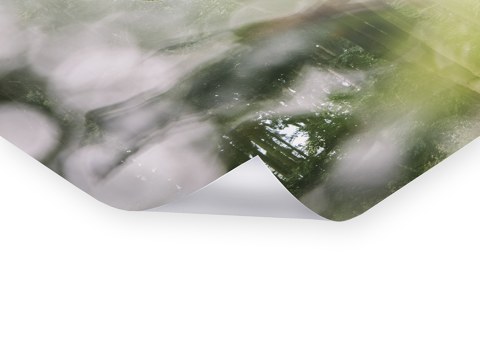 Sommer im Teutoburger Wald