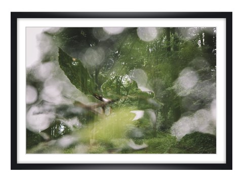 Sommer im Teutoburger Wald