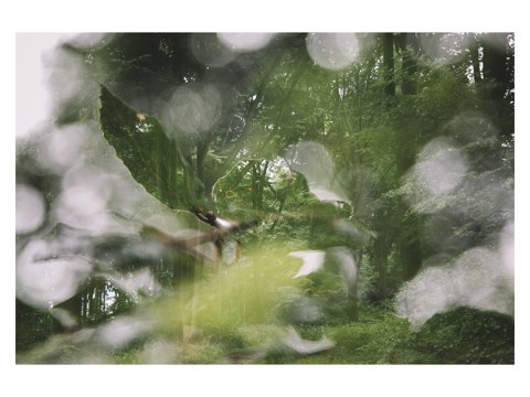 Sommer im Teutoburger Wald