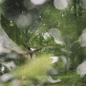 Sommer im Teutoburger Wald