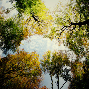 Farbenfroher herbstlicher Himmel im Teutoburger Wald