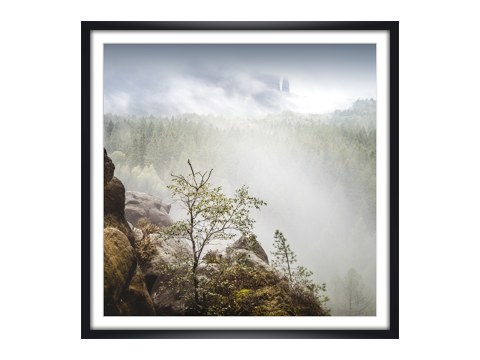 Neuer Wildenstein Saechsische Schweiz