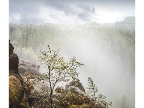 Neuer Wildenstein Saechsische Schweiz