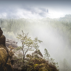 Neuer Wildenstein Saechsische Schweiz