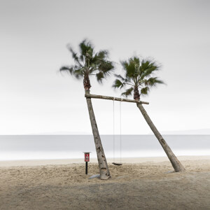 Palm tree swing