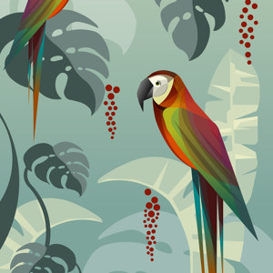 Papageien im Dschungel