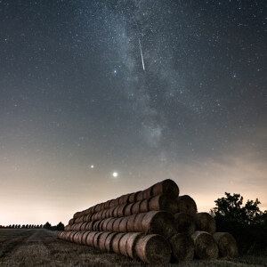 Perseids III Brandenburg