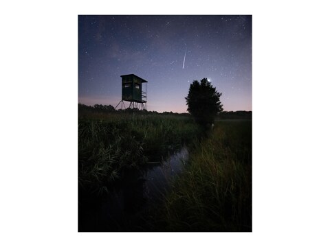 Perseids V Brandenburg