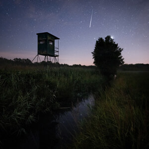 Perseids V Brandenburg