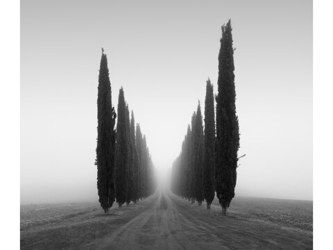 Poggio Covili Toskana