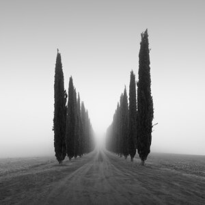 Poggio Covili Toskana