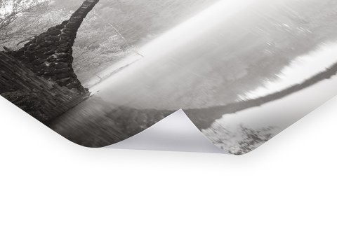 Rakotzbruecke im Nebel