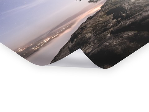 Old Pine, Sächsische Schweiz