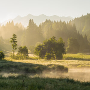 Sommermorgen im Karwendel