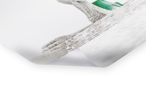 The crowned king - Sassnitz auf Ruegen