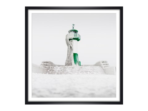 The crowned king - Sassnitz auf Ruegen