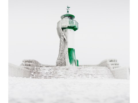 The crowned king - Sassnitz auf Ruegen