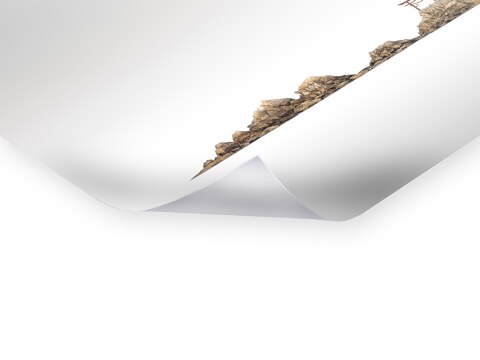 Torii Natakaigan II Japan