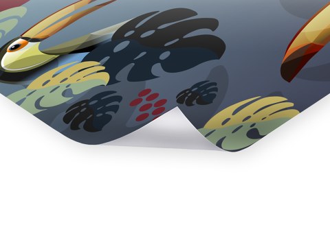 Tukan im Monstera Jungle