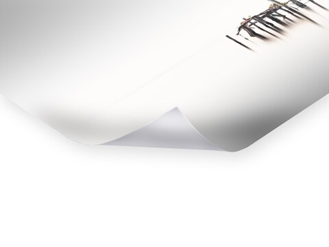 Vecchio Study 13 Veneto