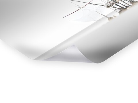 Vecchio Study 14 Pisa