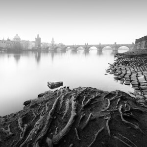 Vltava River Study Prag
