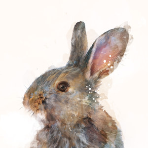 Abstract Rabbit