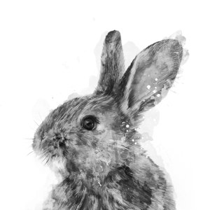 Abstract Rabbit