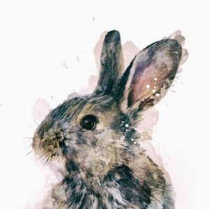 Abstract Rabbit