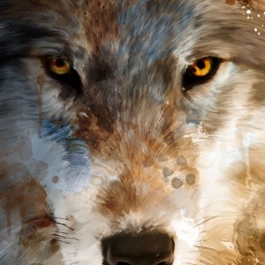 abstract wolf