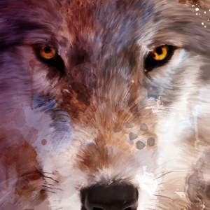abstract wolf