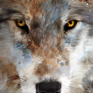 abstract wolf