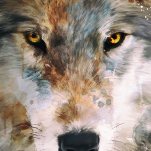 abstract wolf