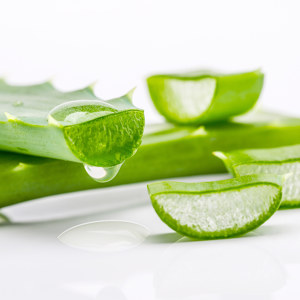 Aloe