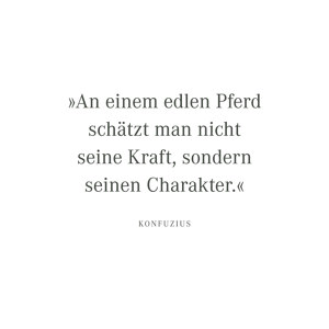 An einem edlen Pferd