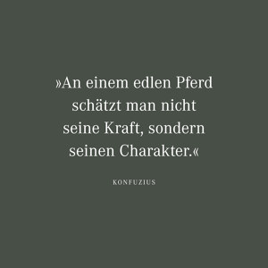 An einem edlen Pferd