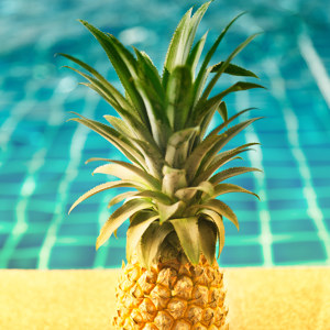 Ananas am Pool