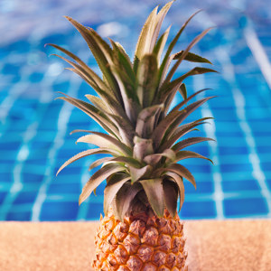 Ananas am Pool