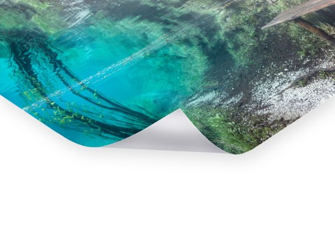 Bank Unterwasser Bild