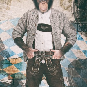 Bavarian Ape