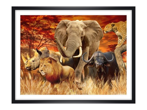 Big Five Poster
