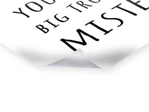 Big Trouble Mister Poster