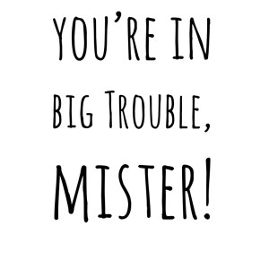 Big Trouble Mister