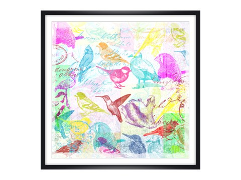 Bild Vögel Pop Art