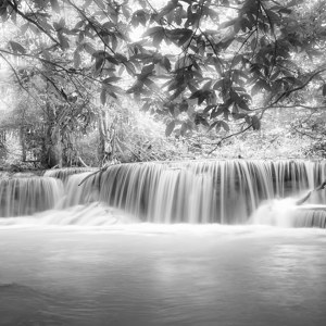 Motif de chute d'eau tropicale