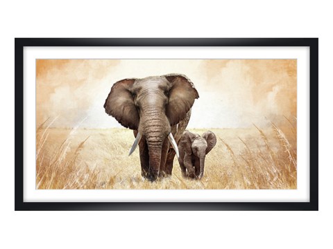 Bilder von Elefanten