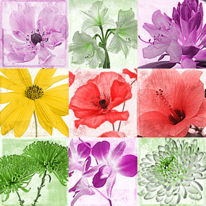 Blumencollage